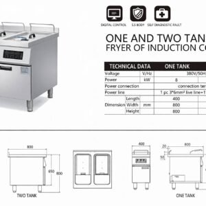 Jual Deep Fryer Gorengan Listrik Induksi 1 & 2 Tank - Kapasitas Besar