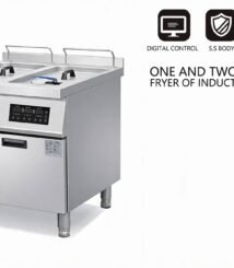 Deep Fryer Induction Cooker 8kW x2 - Self Diagnostic Fault - 800x800x800mm